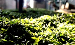 �ƶ�֮�ϵġ��������ӡ��ն���